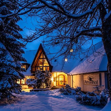 Landhaus Amselhof Hinterzarten Esterno foto