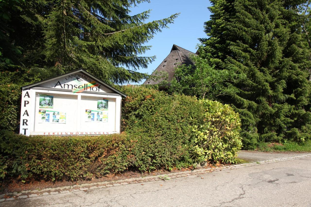 Landhaus Amselhof Hinterzarten Esterno foto
