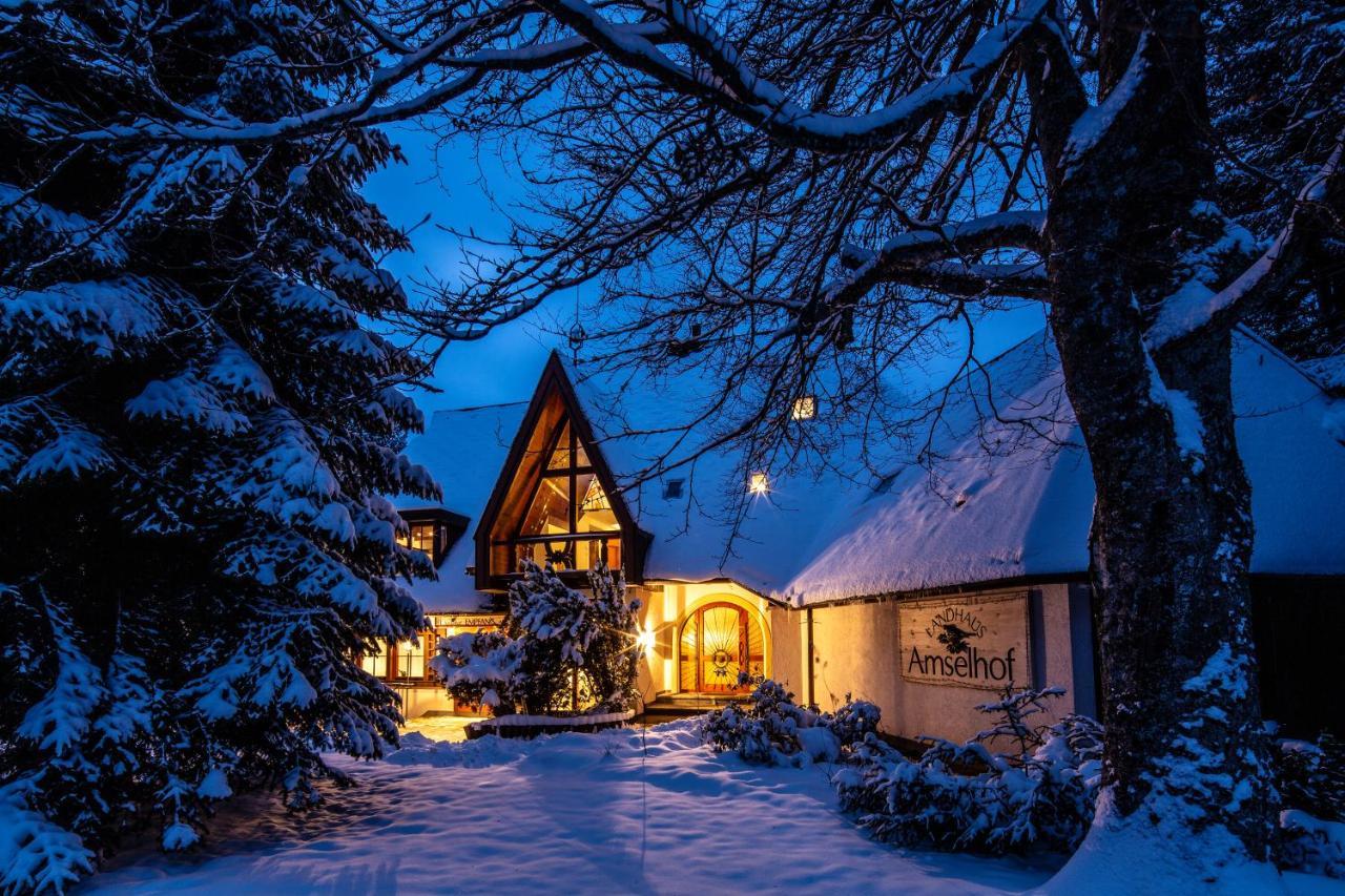 Landhaus Amselhof Hinterzarten Esterno foto